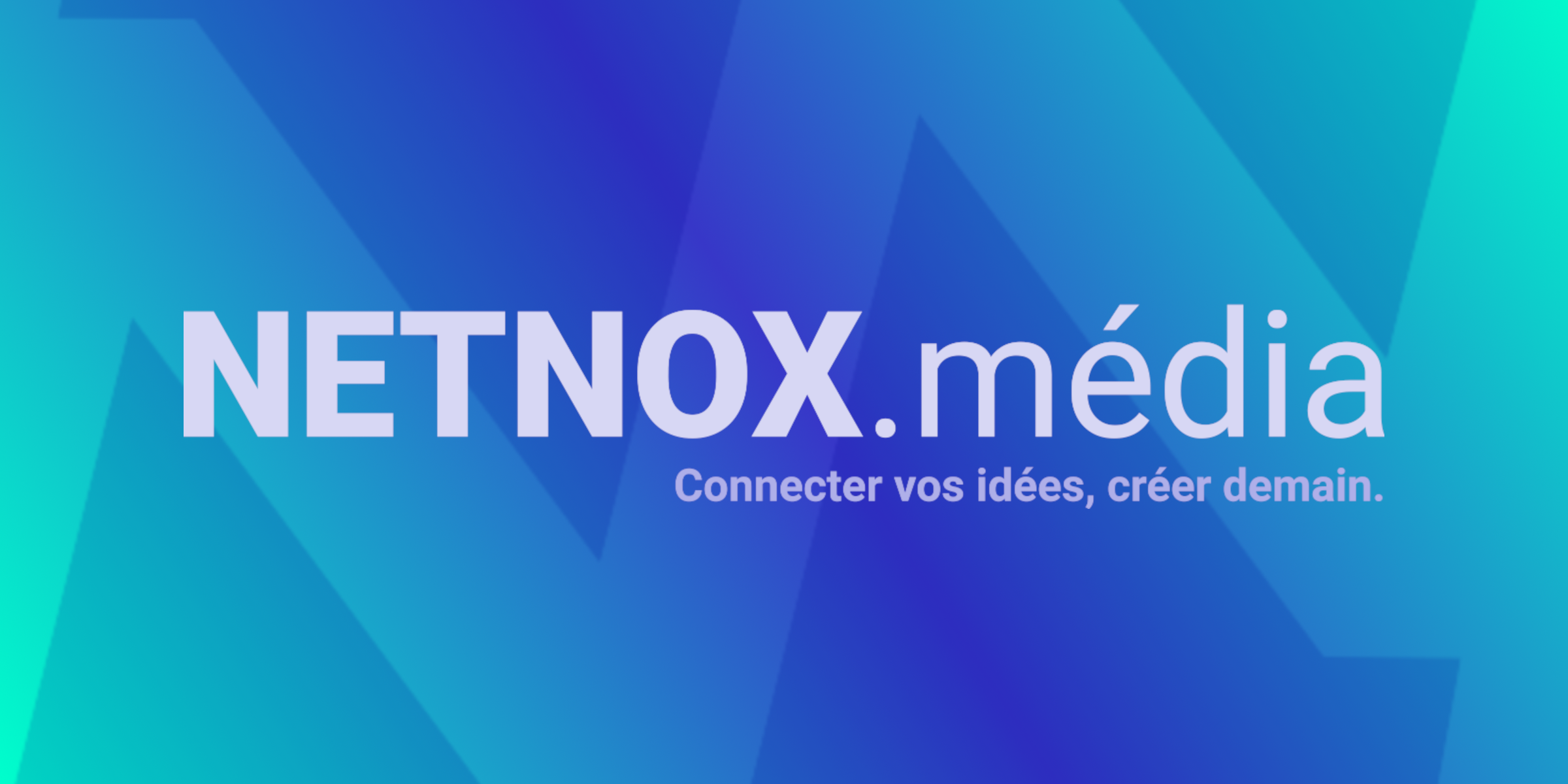 Logo de NETNOX.média
